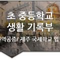 솔루션(SOLUTION) 번역행정사 네이버블로그