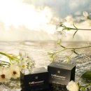 휴메딕스 이미지