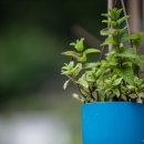 백운동계곡펜션 이미지