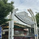 [채집통🐝] 서울 데이트 코스 광장시장 먹거리 볼거리 총정리｜하루 5끼도 가능한 먹거리 천국 광장시장