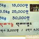 채원농장 이미지