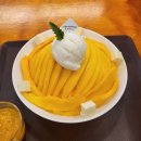 카페밤빙고