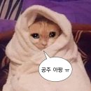 율하바디풋 | 📍 율하 바디풋 후기 (찐 시원함 주의)