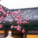 송학 행정사사무소 네이버블로그