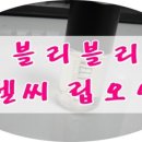 블리데이