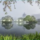 영산 연지못 이미지