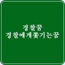 경찰꿈 해몽 분류별 경찰에게 쫓기는 꿈 풀이 이미지