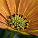 디스커버리군산수송점 이미지