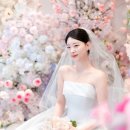 서울 가성비 웨딩 본식스냅 서사포토그라피 예약 후기