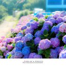 비커밍풀빌라펜션 이미지