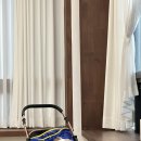 댕댕묭실 이미지