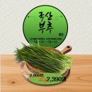 서산엔마트