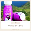 소비자유통 | 갓비움 후기 “언제 마실까?” 실사용 반응으로 본 맛 비교 &amp; 선택 효능 가이드