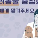 다가온동물병원 네이버블로그