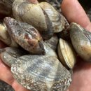 푸른수산 이미지