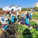 기흥2농장 이미지