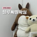 동탄 브라질리언 왁싱 잘하는 곳, 블루씨엘왁싱 내돈내산 후기 (+전후사진)