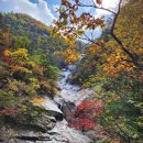 10월21일(수) 설악산 대청봉.공룡능선-20일밤21시출발［214차 정기산행］ 이미지