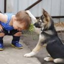 승현이네 이미지