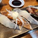 수초밥 Daum카페
