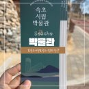 속초시립박물관 | 속초1박2일 아이와 겨울방학 여행 추운 날 딱 좋은 체험전시 울산바위 뷰 속초시립박물관후기