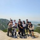 모던복싱클럽 지축 | “봄 나들이 대신 운동? 벚꽃 시즌에 더 핫한 향동복싱 모던복싱클럽향동점 리얼 후기 🌸”