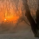 동백장모텔 이미지