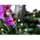 참샘농원 이미지