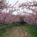 영동농장 이미지