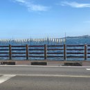 제주목화 | 제주 성산일출봉 근처 맛집 목화휴게소 후기ㅣ바다뷰 오징어 노포 감성