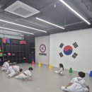 한국체대 수 태권도장 이미지