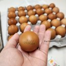 주령축산 이미지