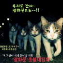 19. 3. 30일 봉사신청하세요(문화광장) 이미지