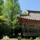 경상감영공원 | [공지] 상주 태평성대경상감영공원 결혼식 후기 | 작은 야외웨딩 장점·단점·비용 정리