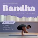 반다요가 | 💙데이브 선생님💙 요가판타지아 반다요가 특강 후기 😎✨ (부산시청요가/양정요가/부산진구요가/부산하타요가)