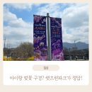 천마목장 | 가볼만한 곳 2026 렛츠런파크 서울 벚꽃축제 15개월 아이와 방문 후기 : 포니랜드 놀이터까지 완벽 코스!