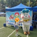 24회 구덕골문화예술제 방문 후기