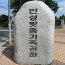 안성맞춤가족공원 이미지