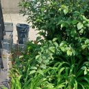 스위티모텔 이미지