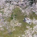 허브힐링관광펜션 이미지