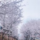 신기강변로 이미지