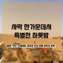 주차66 | 중국 어디까지 가봤니? 아이동반 텅거리 사막숙소 리얼 후기(中卫66号沙漠露营地)