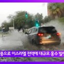 강우오일 이미지