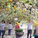 규암면사무소 이미지