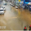 삼향-22 이미지