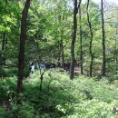 원적산길 이미지