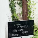 왕자서점，문구 | 제주도 비오는날 추천 '책방 소리소문' 독립서점 블라인드북 구매 후기