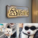 베리떼동물병원 네이버블로그