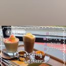 노부스테라 이미지