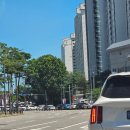 새미랑24시대중탕 | 국립중앙박물관 새나라 새미술 전시 주차 굿즈 관람후기(주말이용 꿀팁)